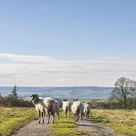 Tatil Evi Middehus *